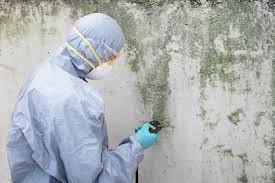 Professional Mold Prevention & Removal  in Orange, VA